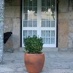 Casa Velha