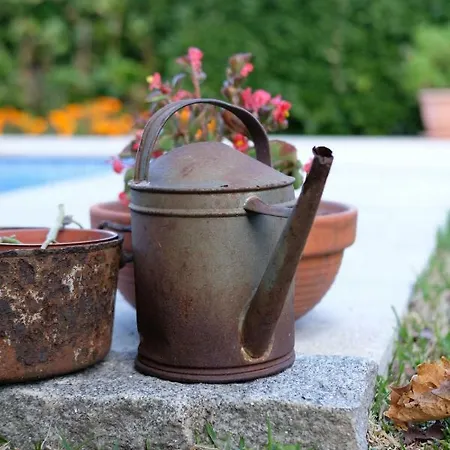 Hébergement de vacances Casa Velha