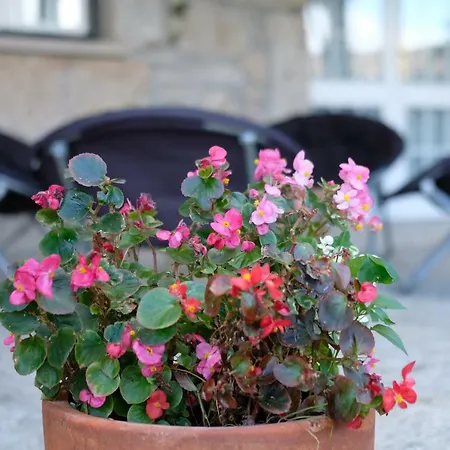 Casa Velha Prázdninový dům *