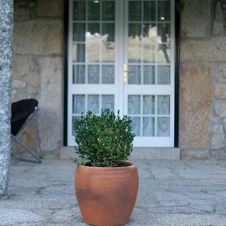 Casa Velha