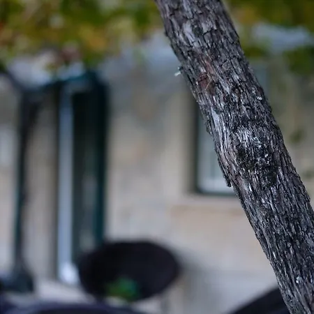 Casa Velha Hébergement de vacances *