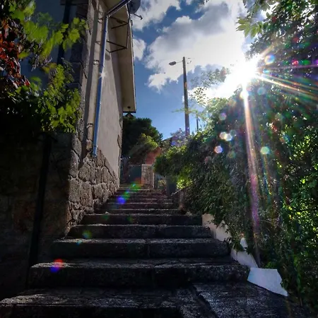 Casa Velha