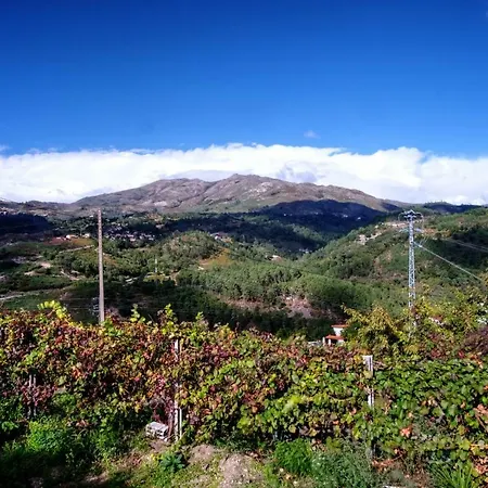 Casa Velha