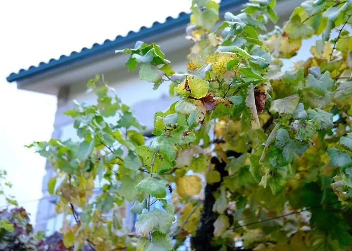 Casa Velha * Paradamonte